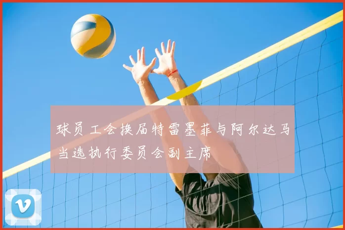 球员工会换届特雷墨菲与阿尔达马当选执行委员会副主席