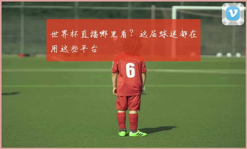 世界杯直播哪里看?这届球迷都在用这些平台