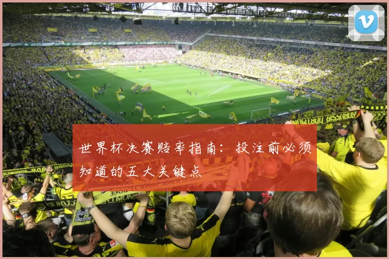 世界杯决赛赔率指南:投注前必须知道的五大关键点