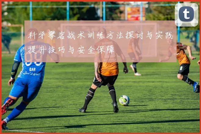 科学攀岩战术训练方法探讨与实践提升技巧与安全保障