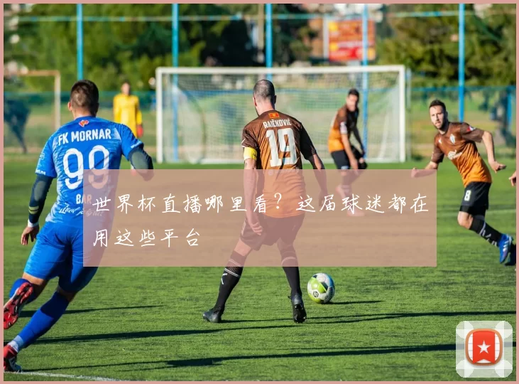 世界杯直播哪里看?这届球迷都在用这些平台