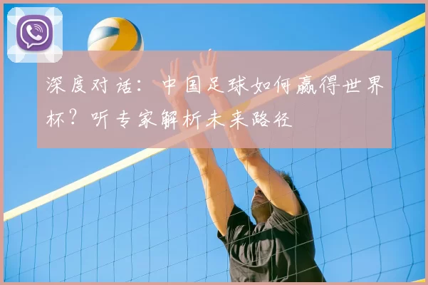 深度对话:中国足球如何赢得世界杯?听专家解析未来路径