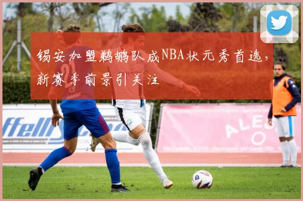 锡安加盟鹈鹕队成NBA状元秀首选,新赛季前景引关注